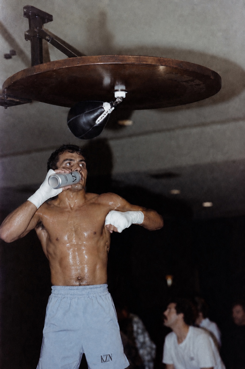 Boxer drinking KZN Hydration during training